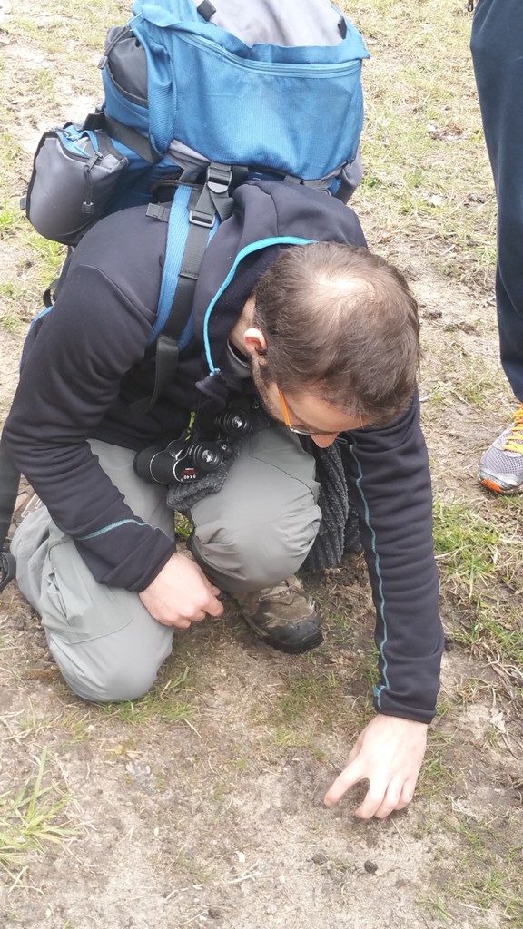 Stage faune sauvage en Touraine