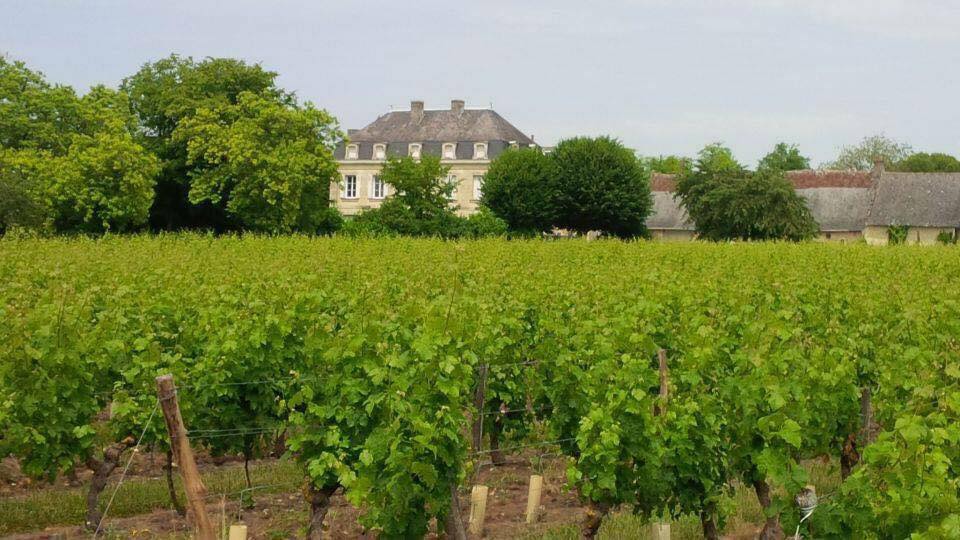 Clos de la Niverdière en Touraine
