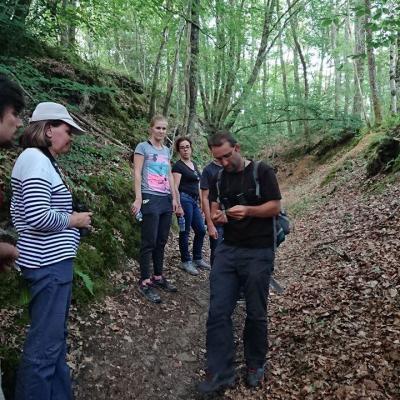 Explications nature en forêt