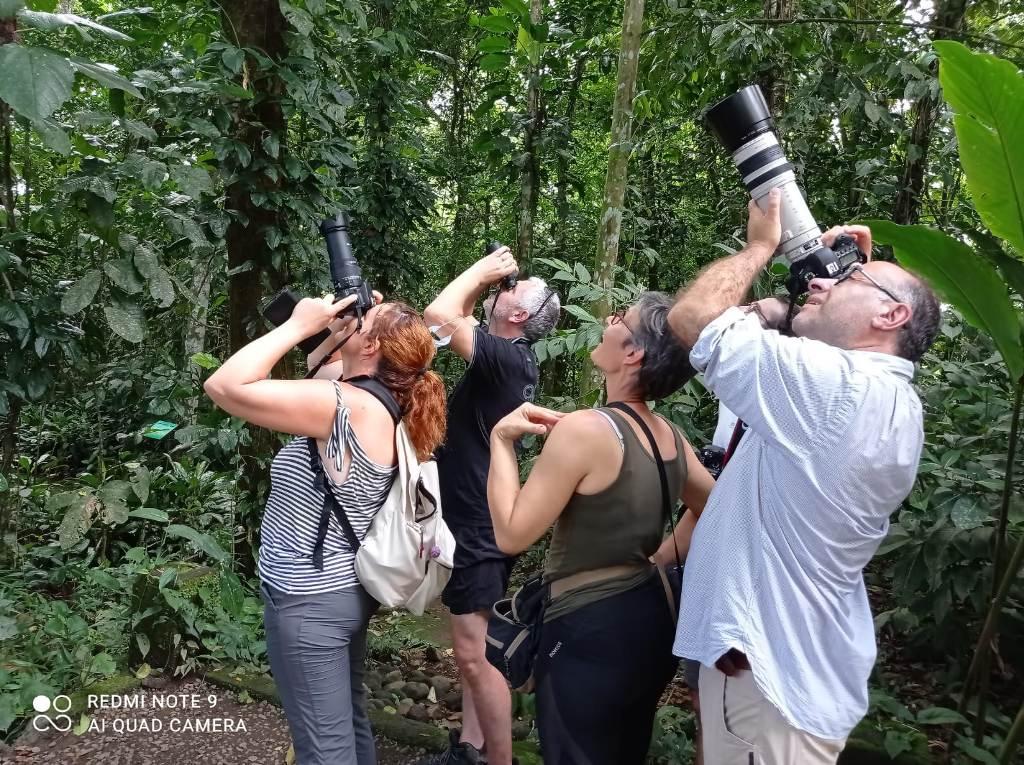 Voyage nature au Costa Rica