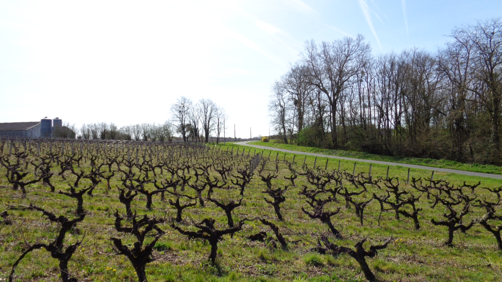 Journée nature et spa à Amboise