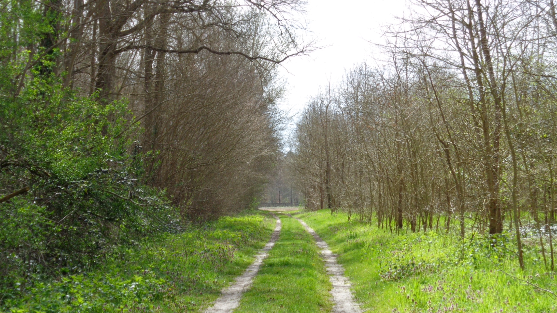 Séjour nature et bien être