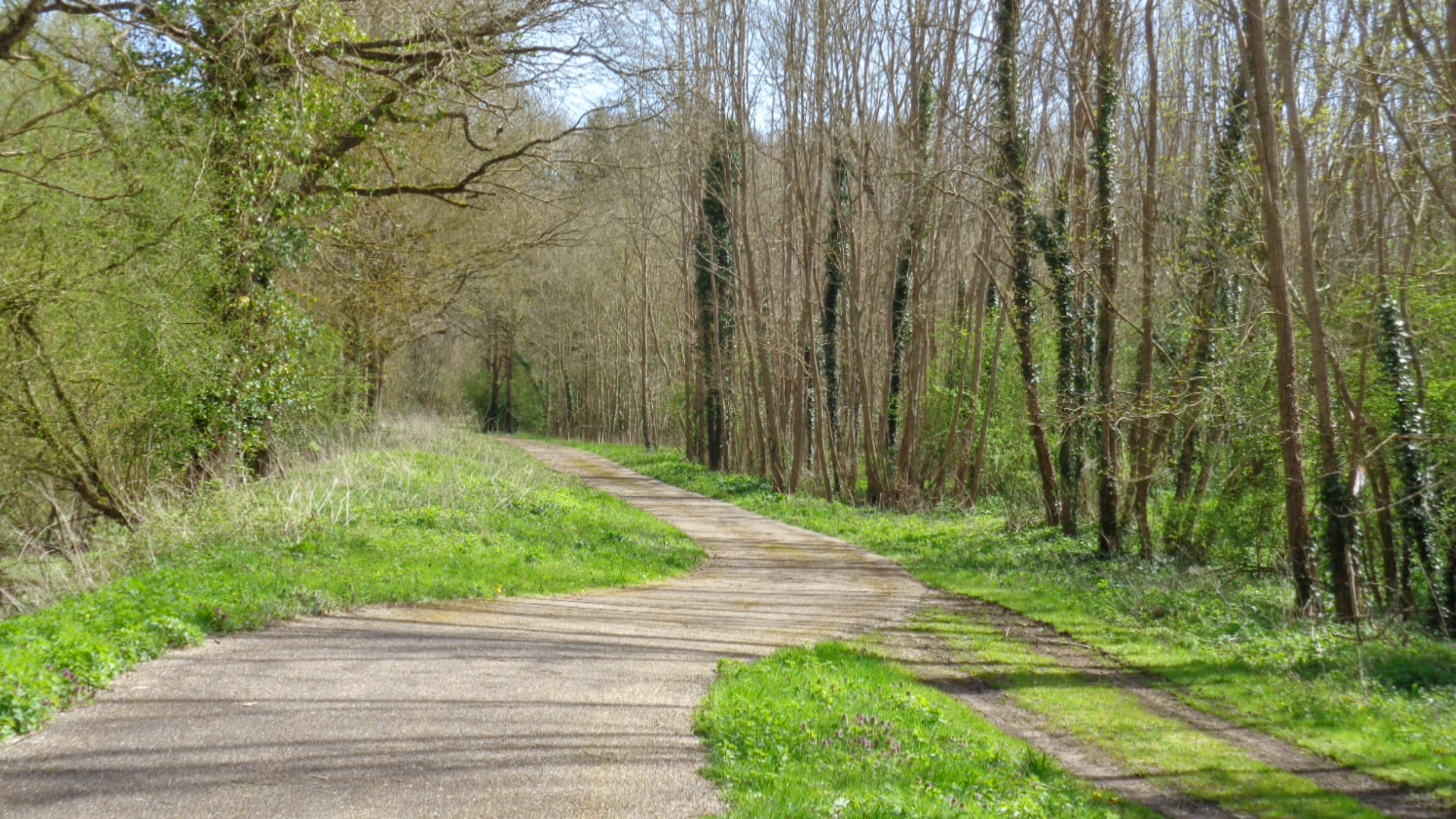 Séjour nature et bien être