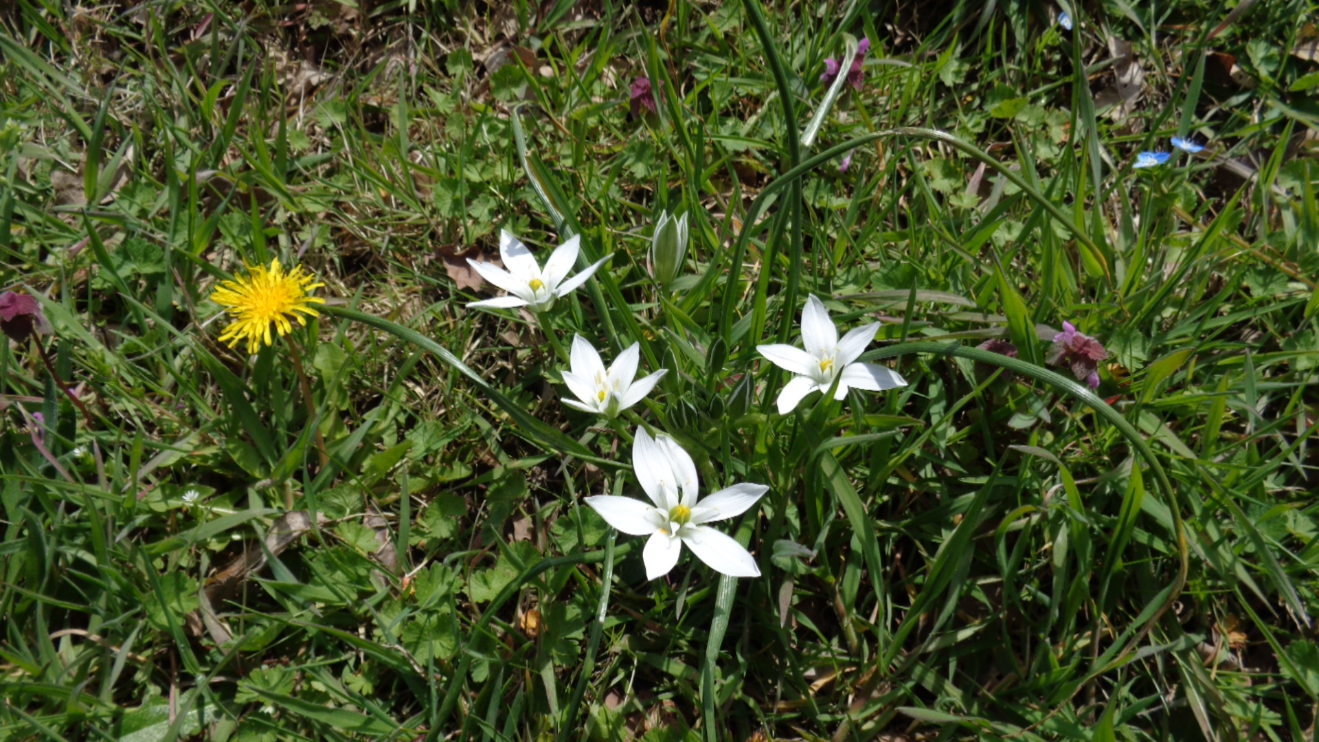 Séjour nature et bien être