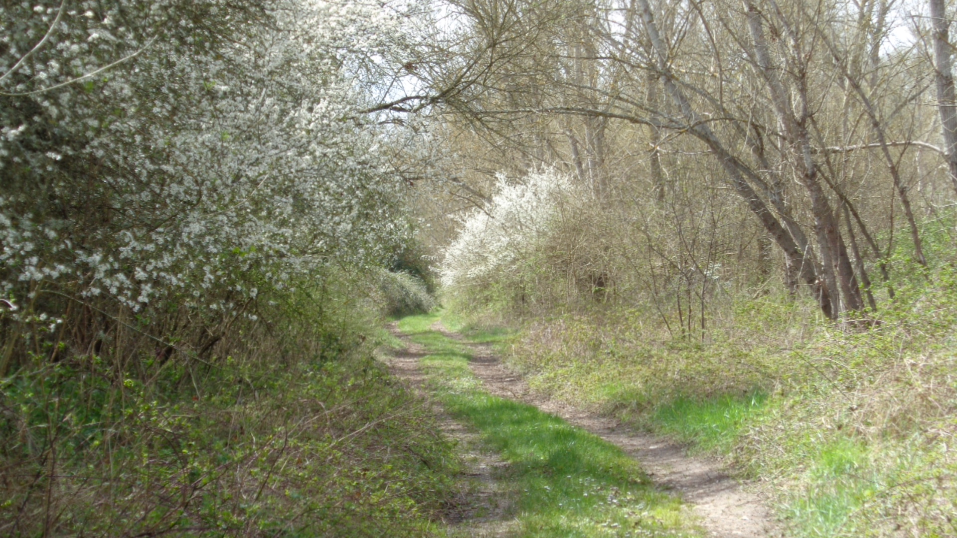 Journée nature et spa à Amboise