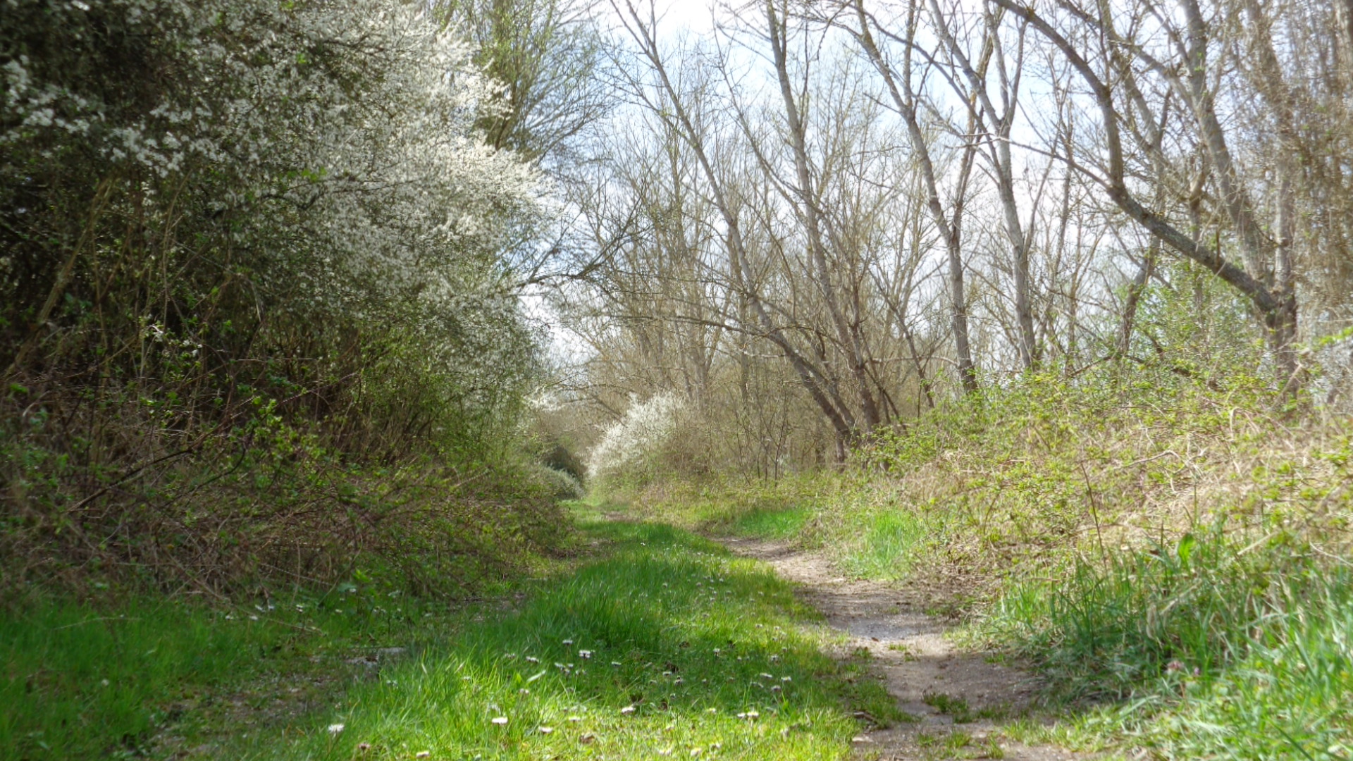 Journée nature et spa à Amboise
