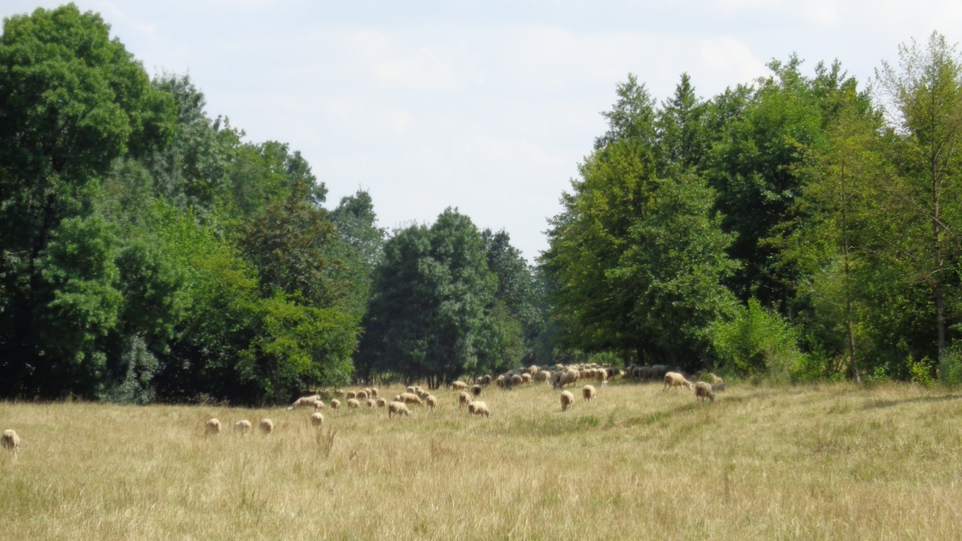 Balade nature aux portes de Tours