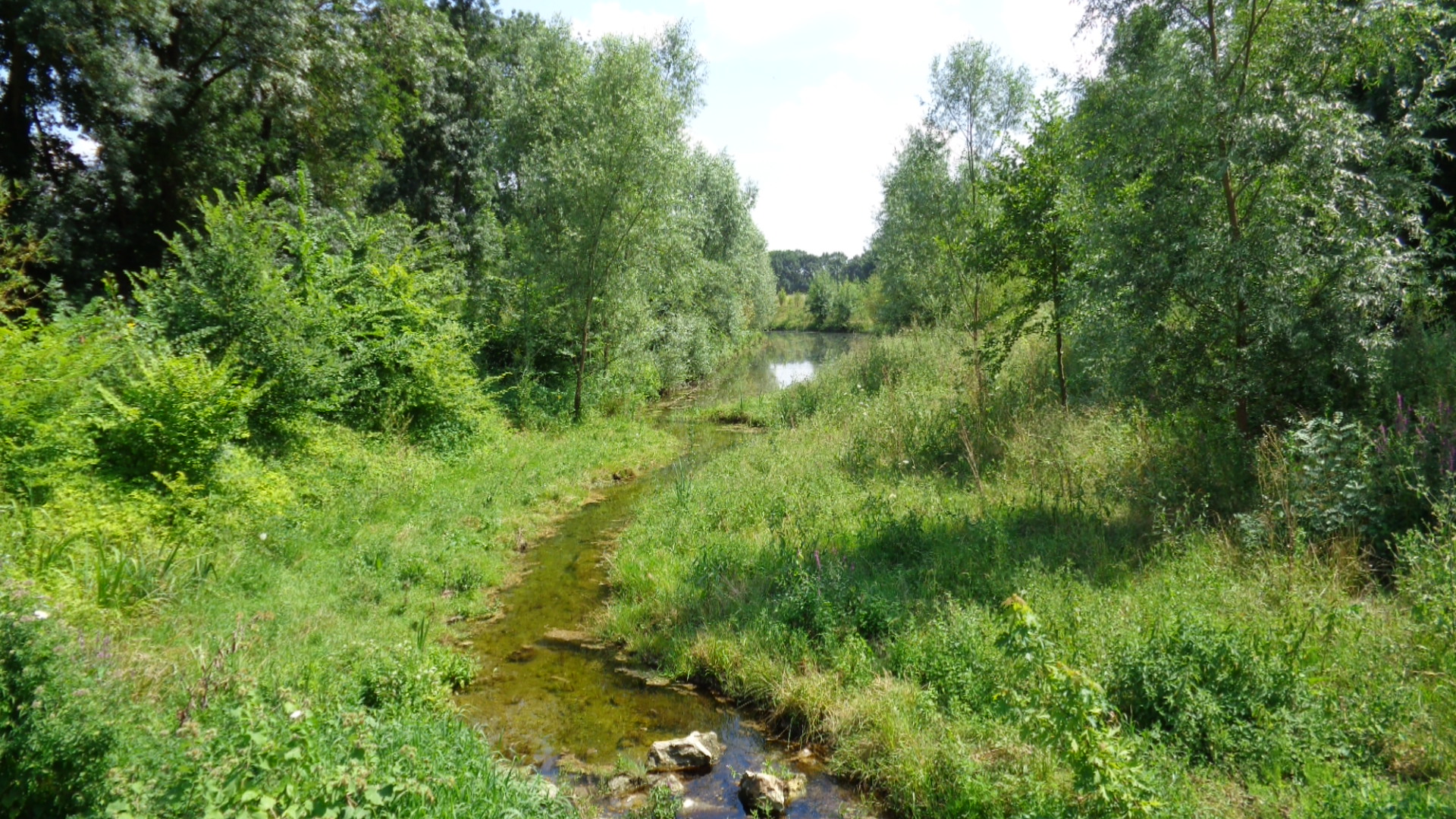 Balade nature aux portes de Tours