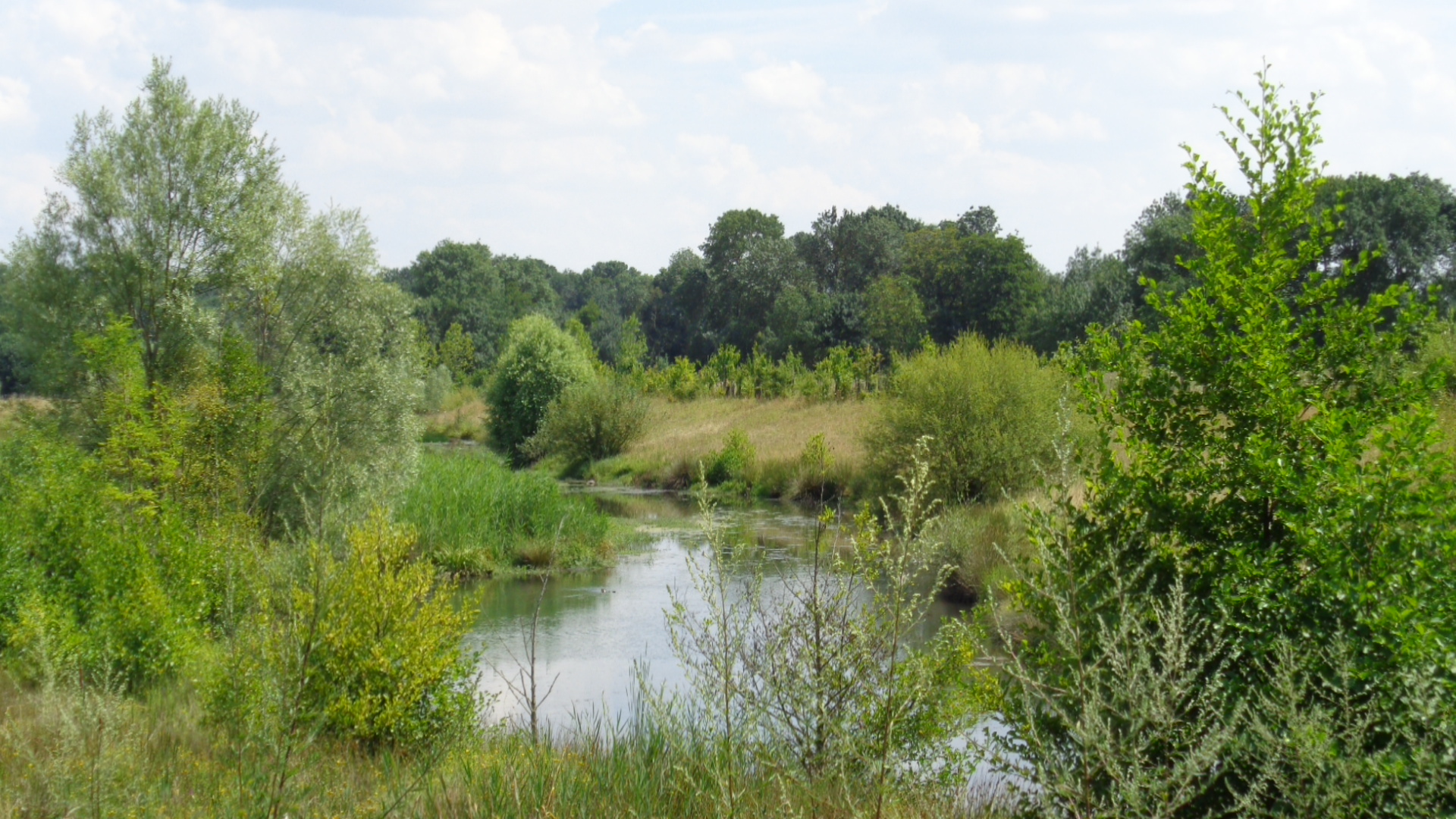 Balade nature aux portes de Tours