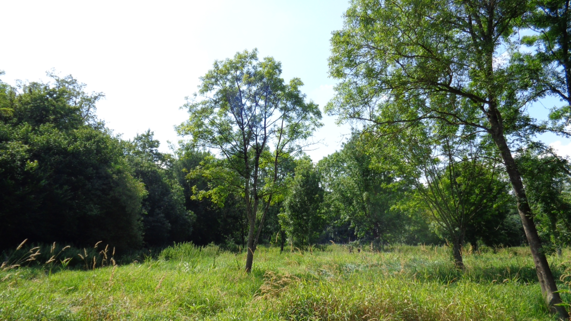 Balade nature aux portes de Tours