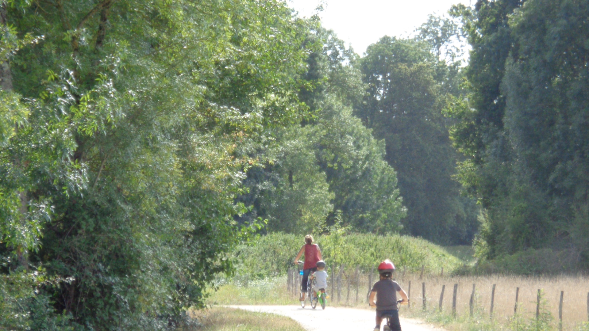 Journée loire à vélo et accrobranche