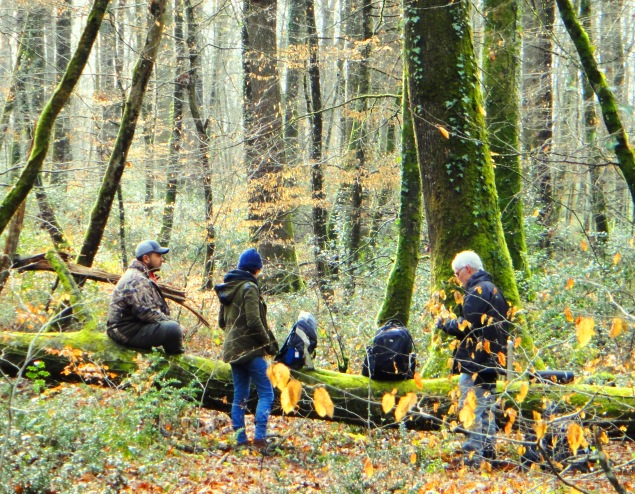 Stage naturaliste en Touraine