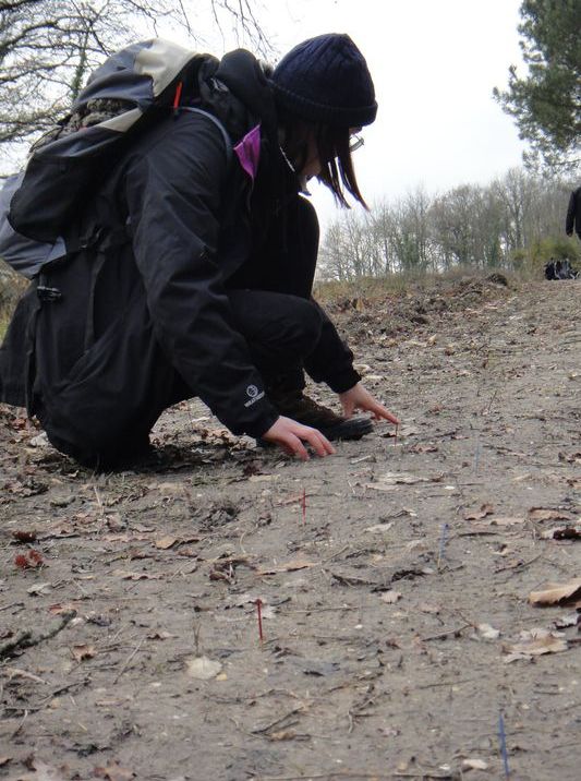 Balade traces et indices des animaux