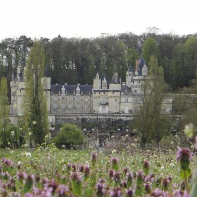 Excursion à vélo - Rigny Ussé Val de loire écotourisme