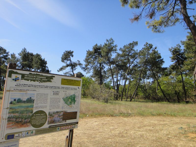 Panneau d'interprétation