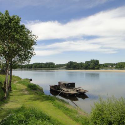 Excursion à vélo - Candes saint martin Val de loire écotourisme