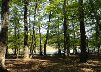 Forêt de Loches - Excursion val de loire écotourisme