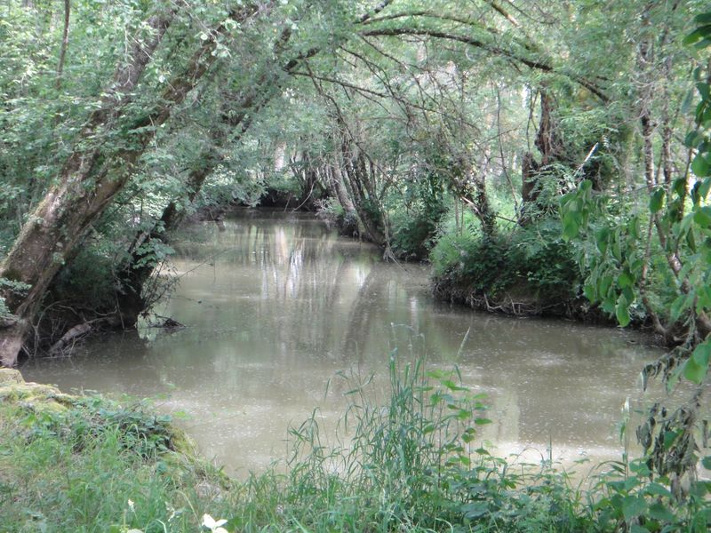 Journée nature à Chemillé