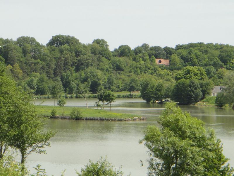 Journée nature à Chemillé