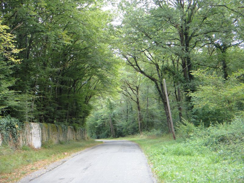 Excursion à vélo à Amboise