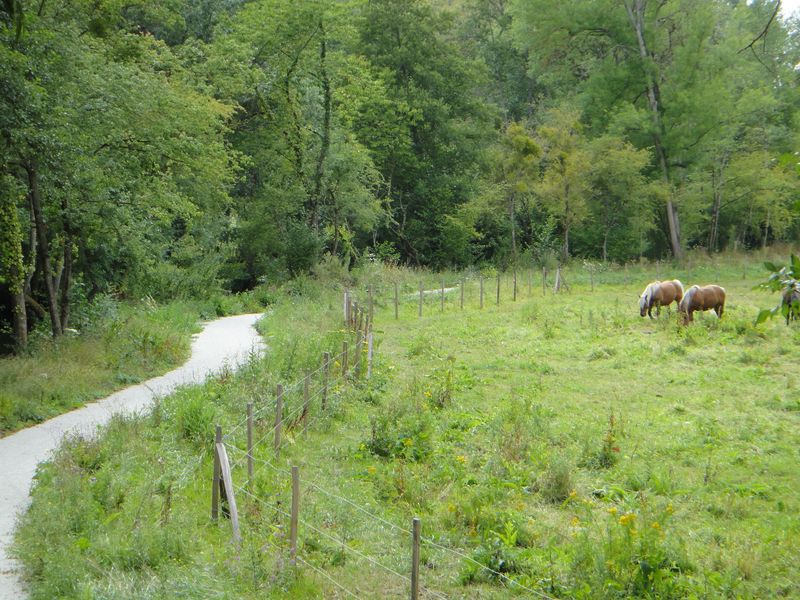 Excursion à vélo à Amboise