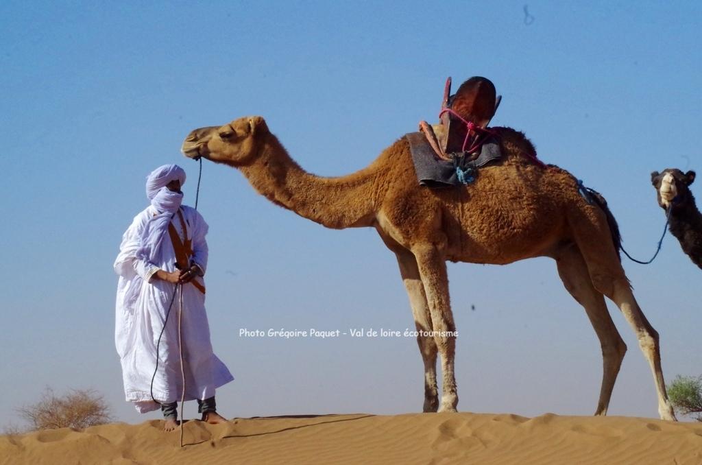 Maroc trek dans le désert