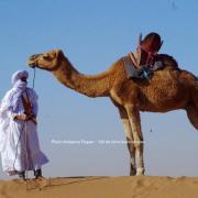 Maroc trek dans le désert