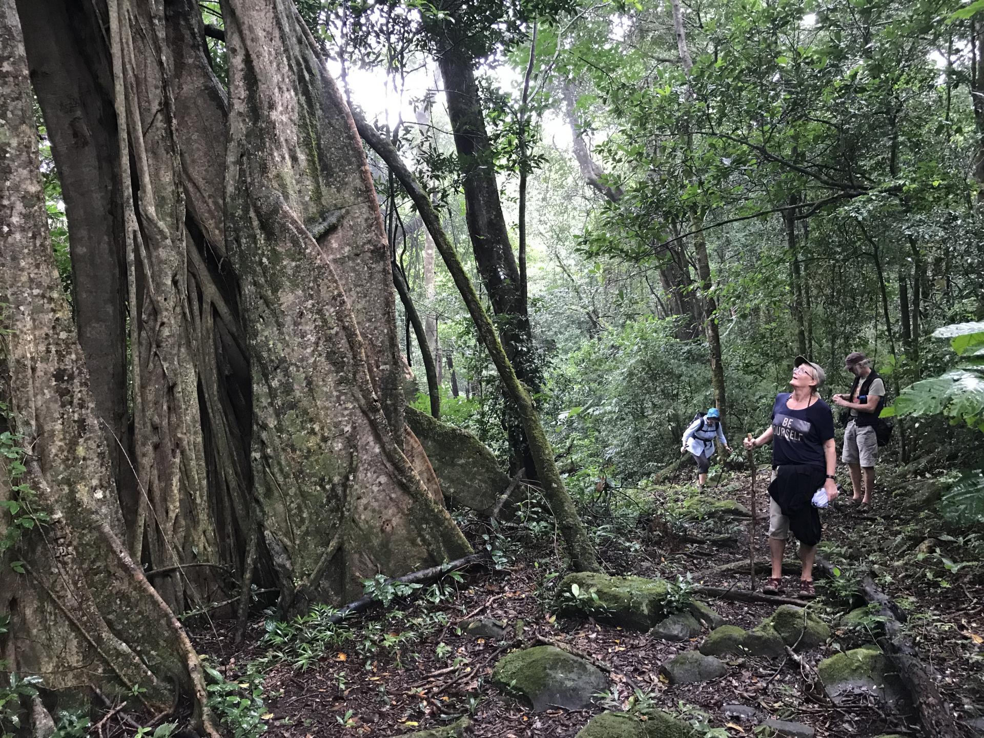 Séjour au Costa Rica
