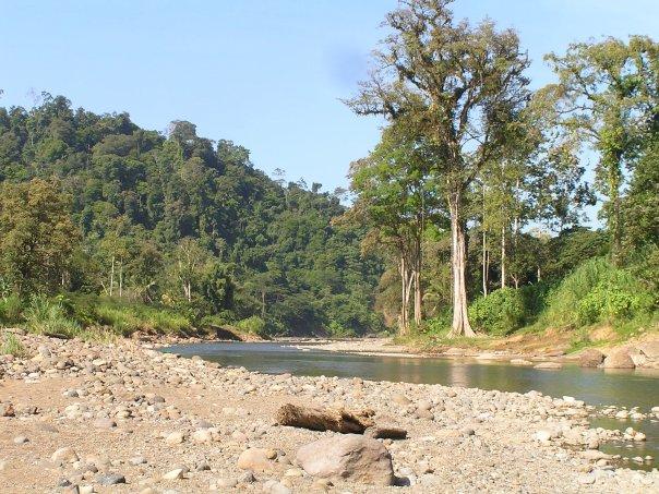 Séjour au Costa Rica