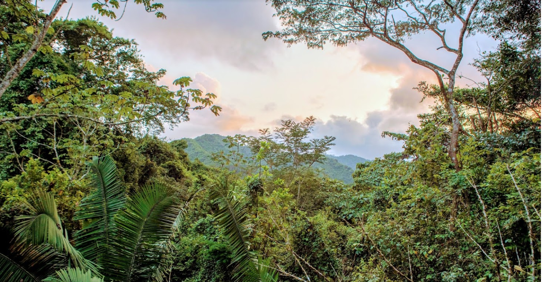 Séjour au Costa Rica