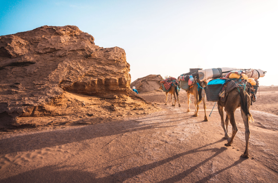 Trek nature au Maroc