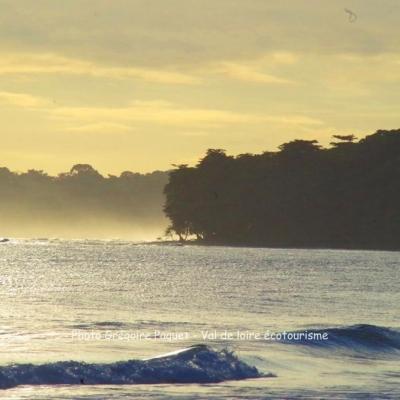 Plage puerto viejo matin 8