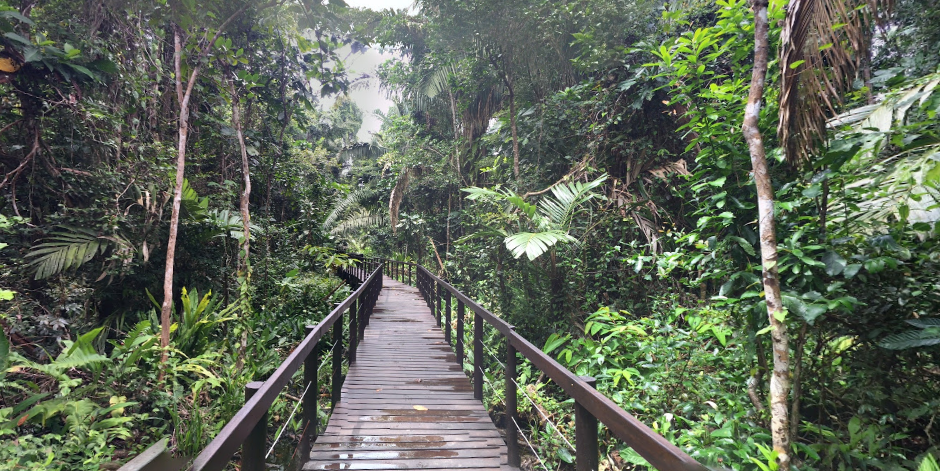 Séjour au Costa Rica