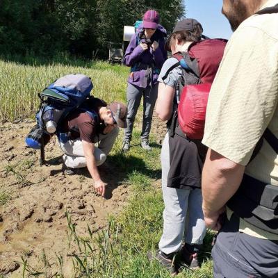 Randonee nature en touraine val de loire ecotourisme gregoire paquet 2