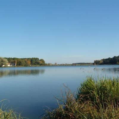 Lac de Rillé - excursion val de loire écotourisme