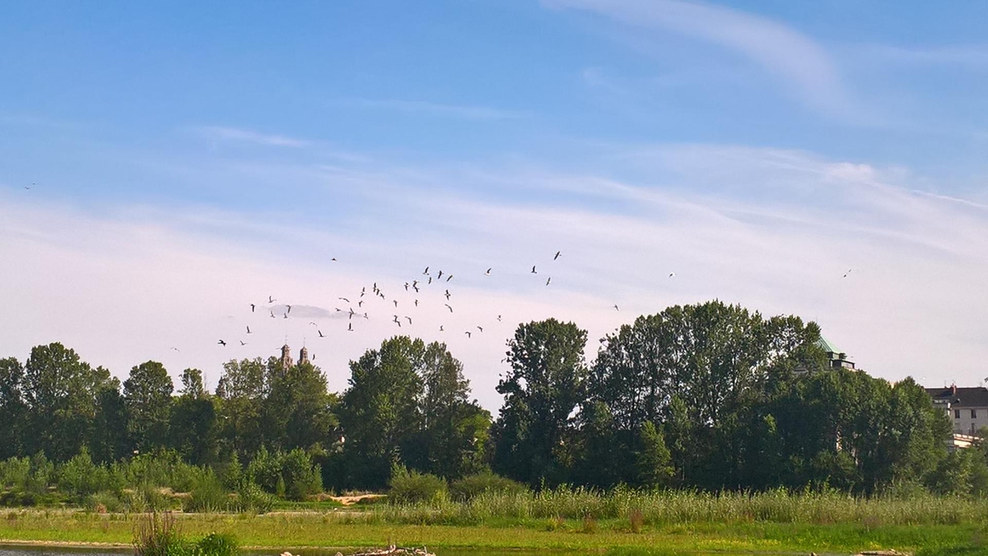 Séjour nature culture en touraine
