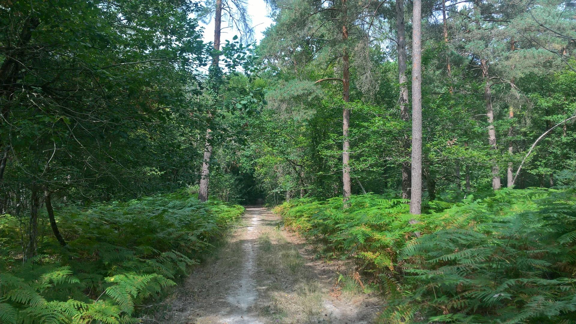 Séjour nature culture en touraine