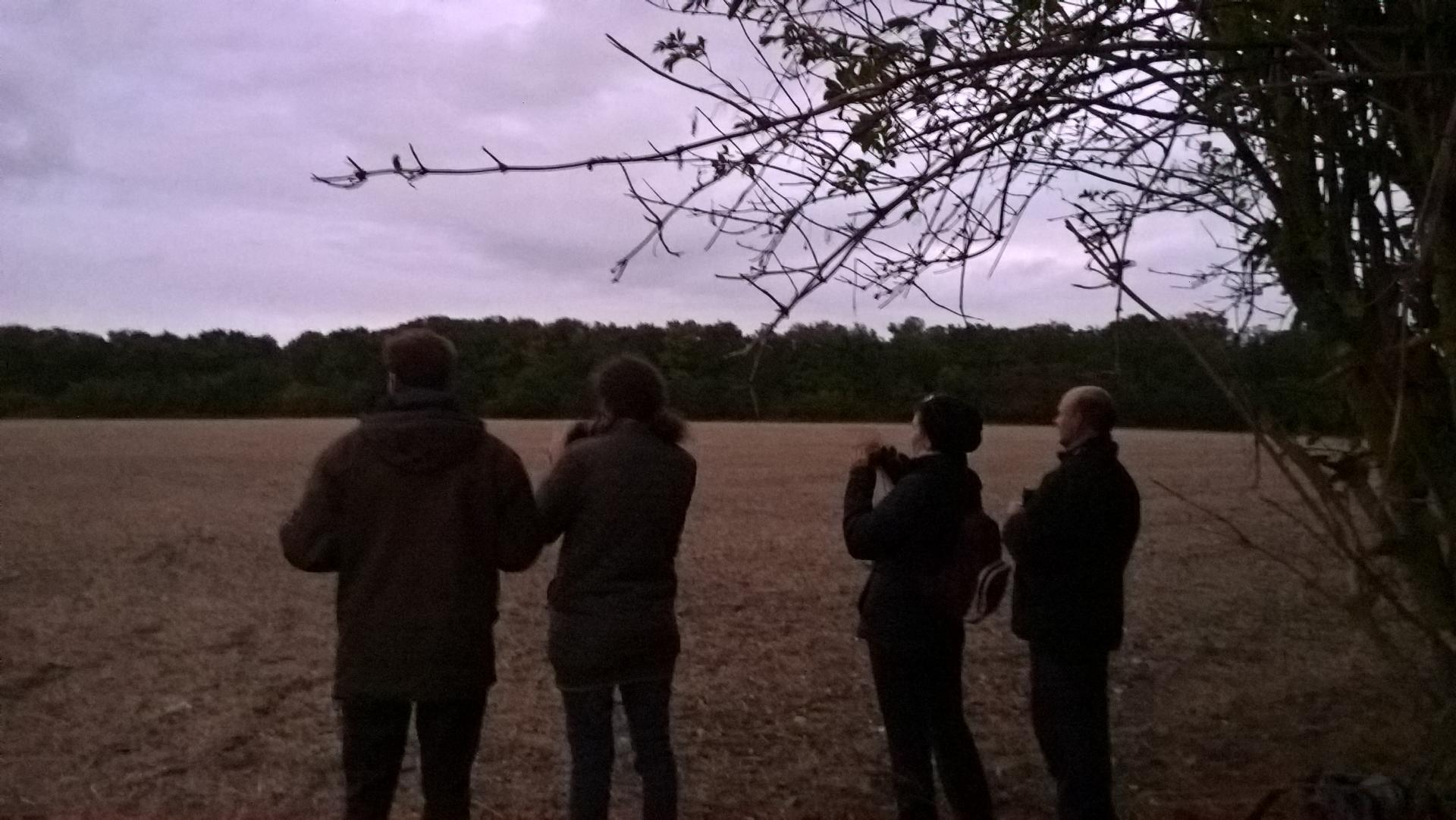 Séjour nature culture en touraine