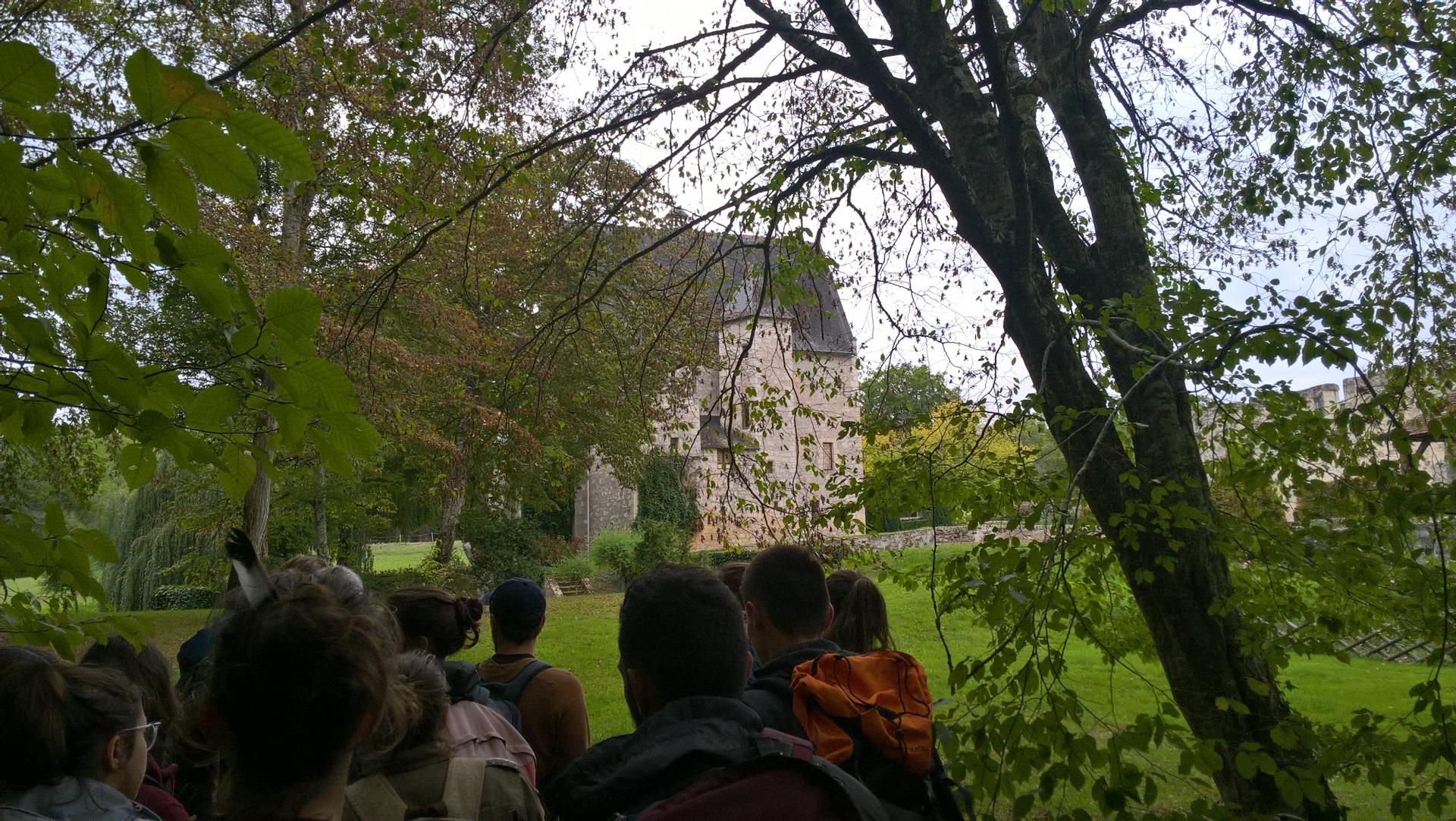Excursion en forêt de Chinon