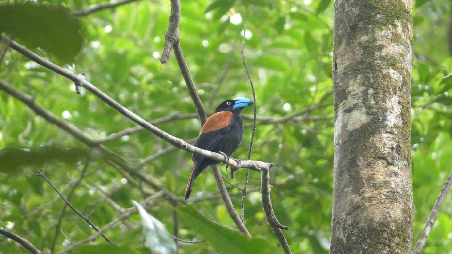 Voyage à Madagascar