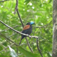 Voyage à Madagascar