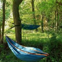 Bivouac en nature en forêt