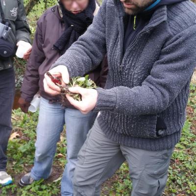 Formation botanique en touraine