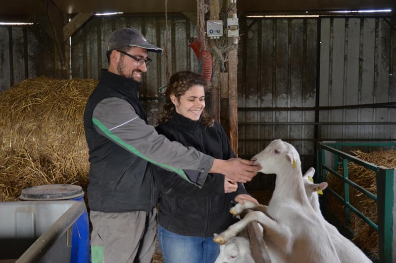 Fromage de Chèvre à la Ferme de Villandry en Indre-et-Loire (37)