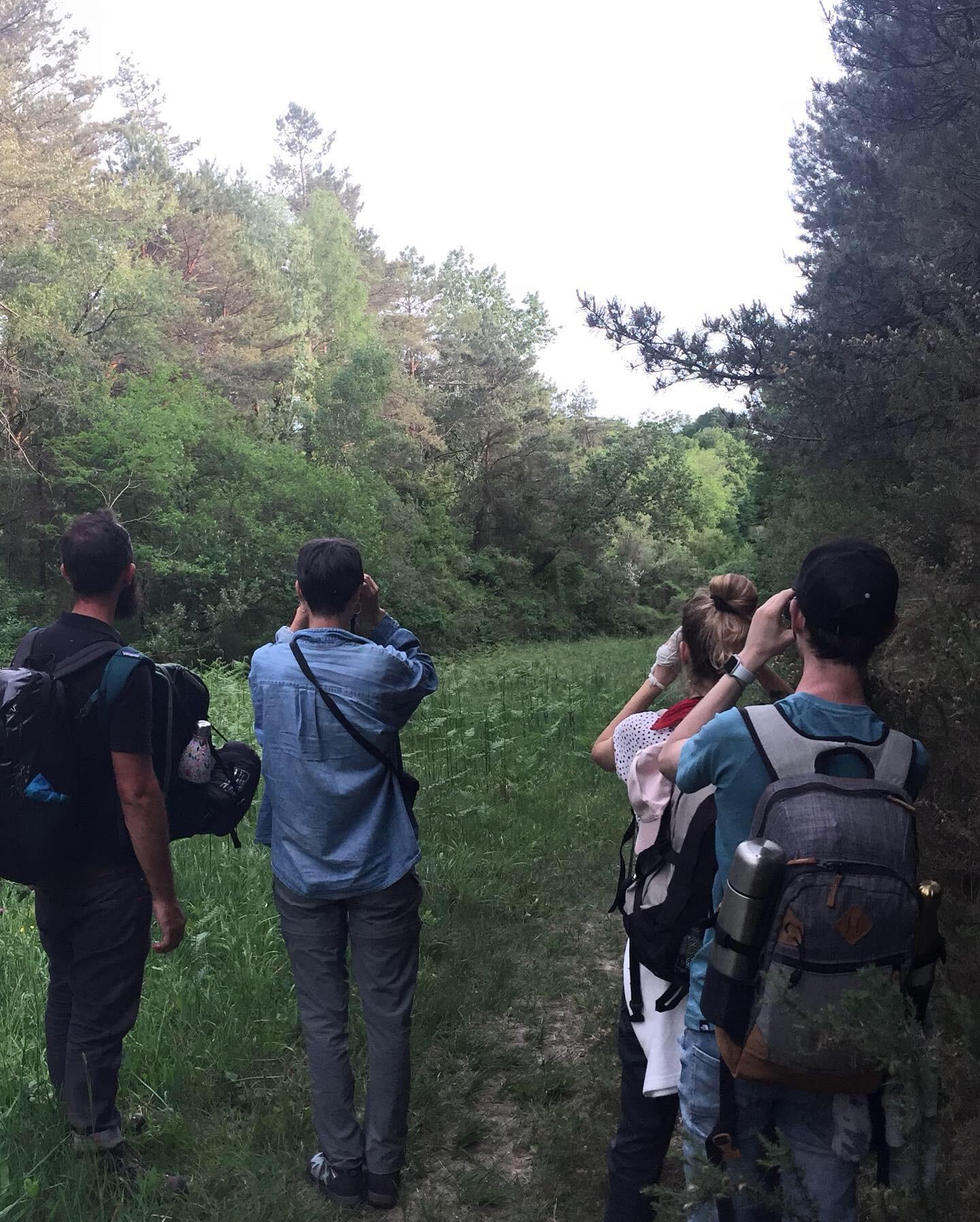 Bivouac nature Touraine