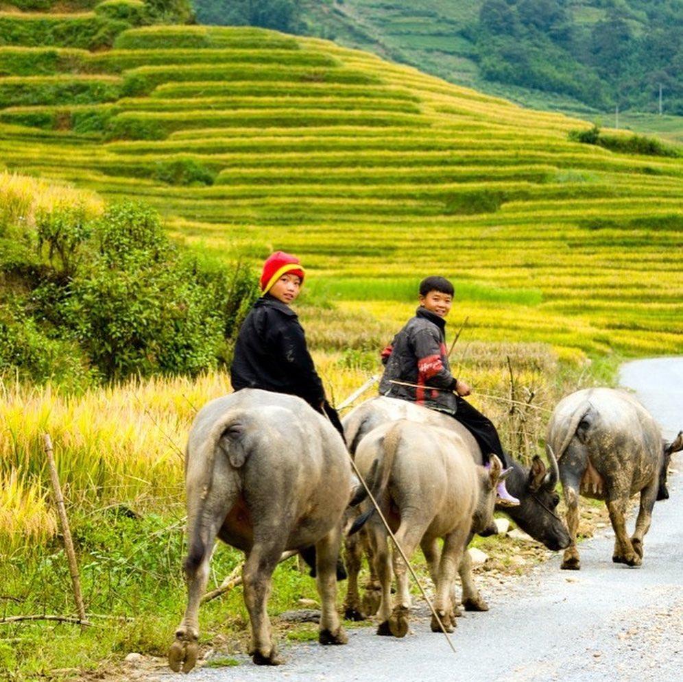 Voyage au Vietnam