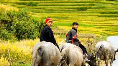 Séjour au Vietnam