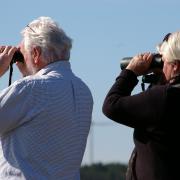 Observation du paysage en val de loire