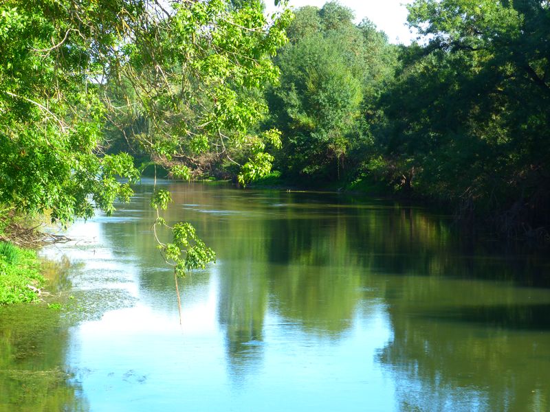 Bords de l'indre