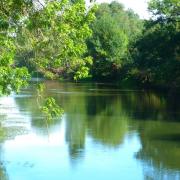 Bords de l'indre